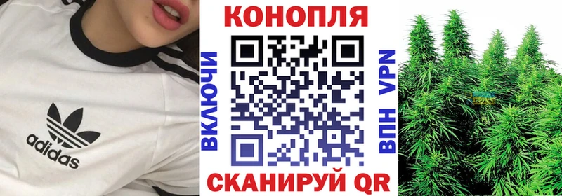 купить наркотик  Шагонар  Бошки марихуана план 