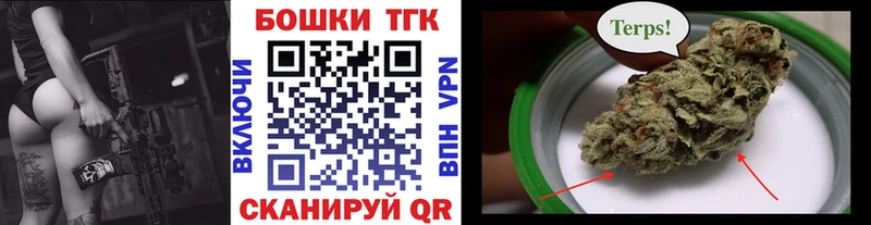 Канабис индика Шагонар